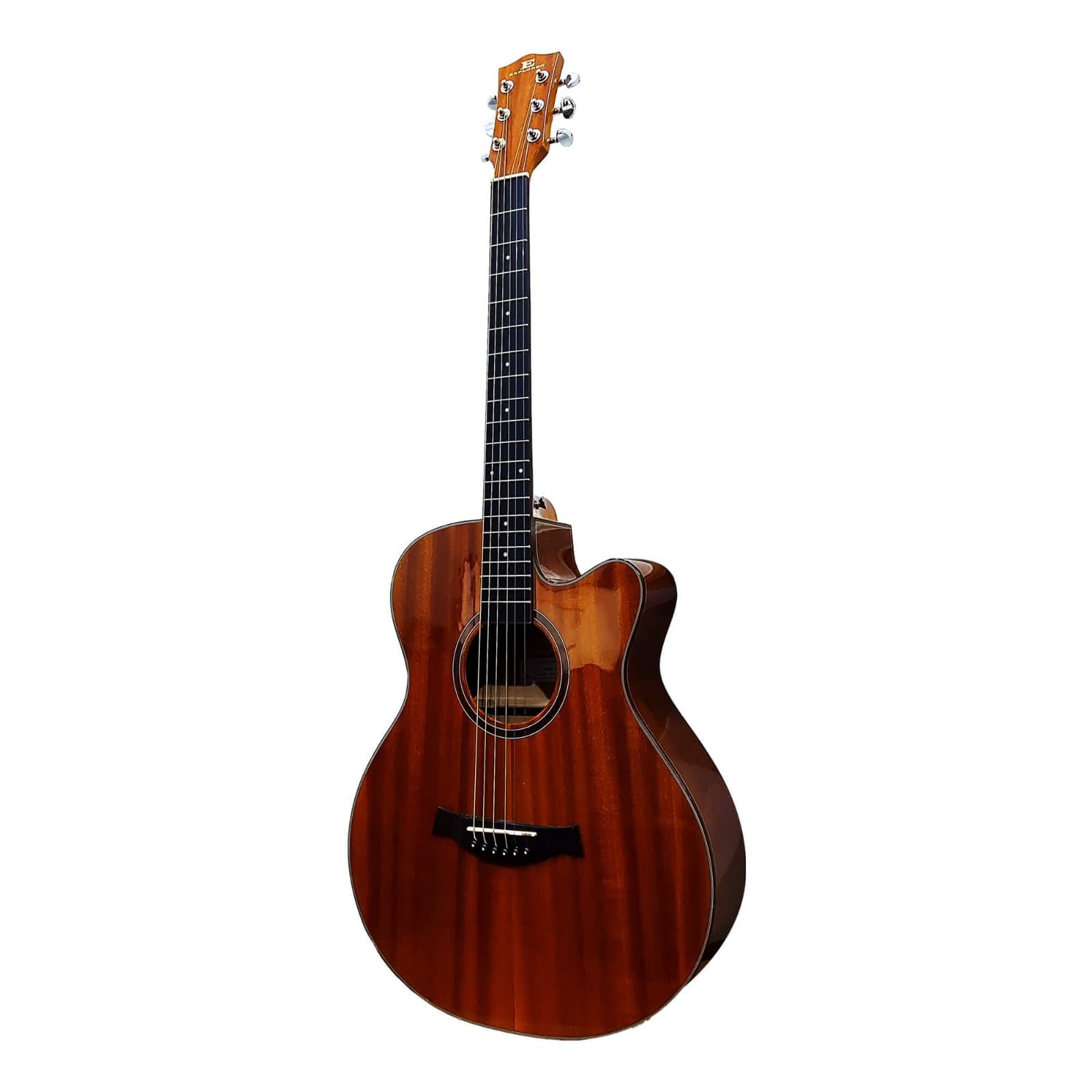Semi Acoustic Guitar
